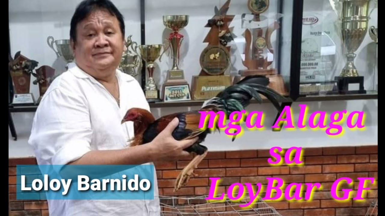 EP458 Part 1: mga alaga sa LoyBar GF/High Action Hatch signature line