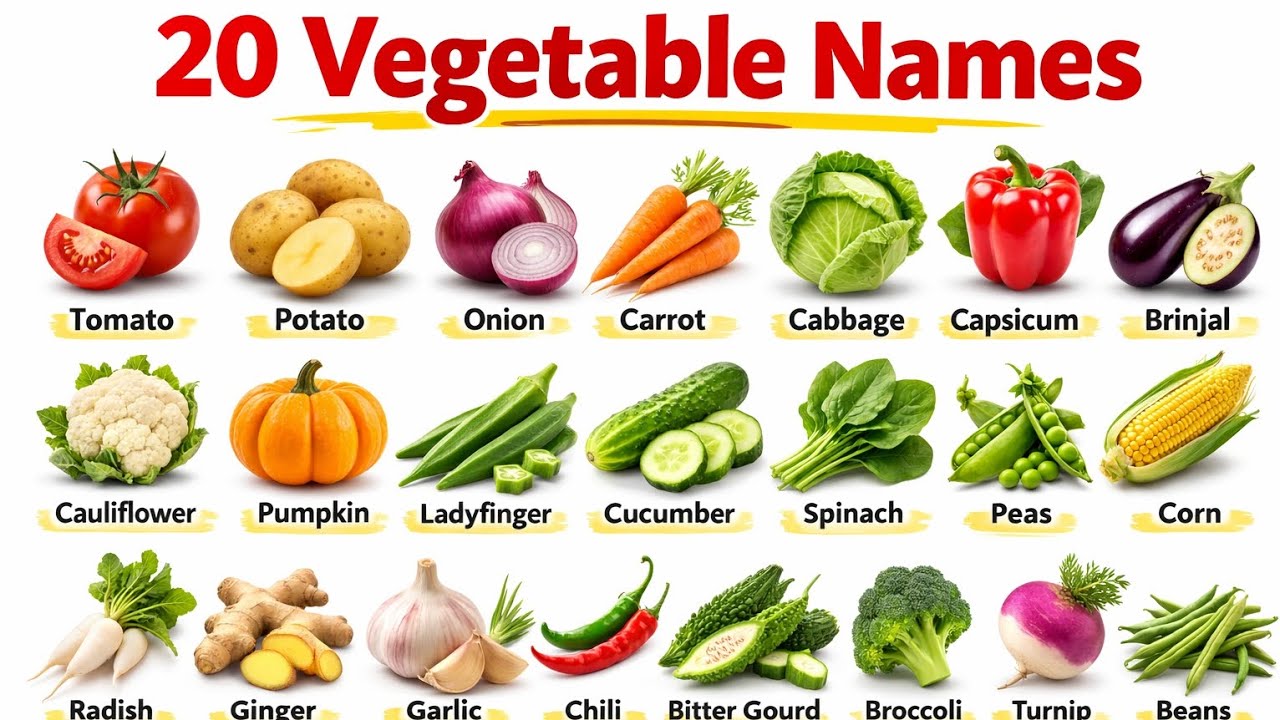 20 vegetables name in hindi and english|सब्जियों के नाम