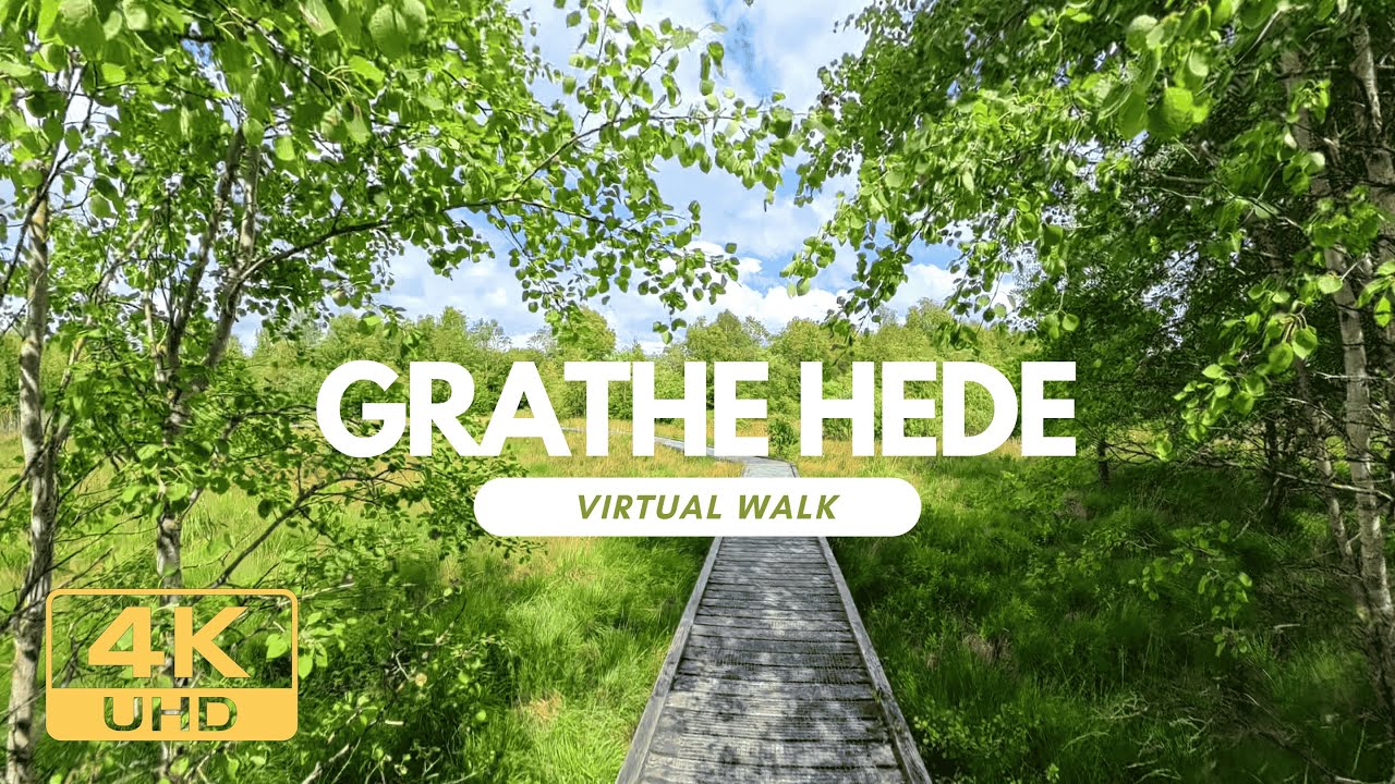 4K Walking in Quiet Danish Nature &ndash; Grathe Hede & B&oslash;lling Area | ASMR Sounds