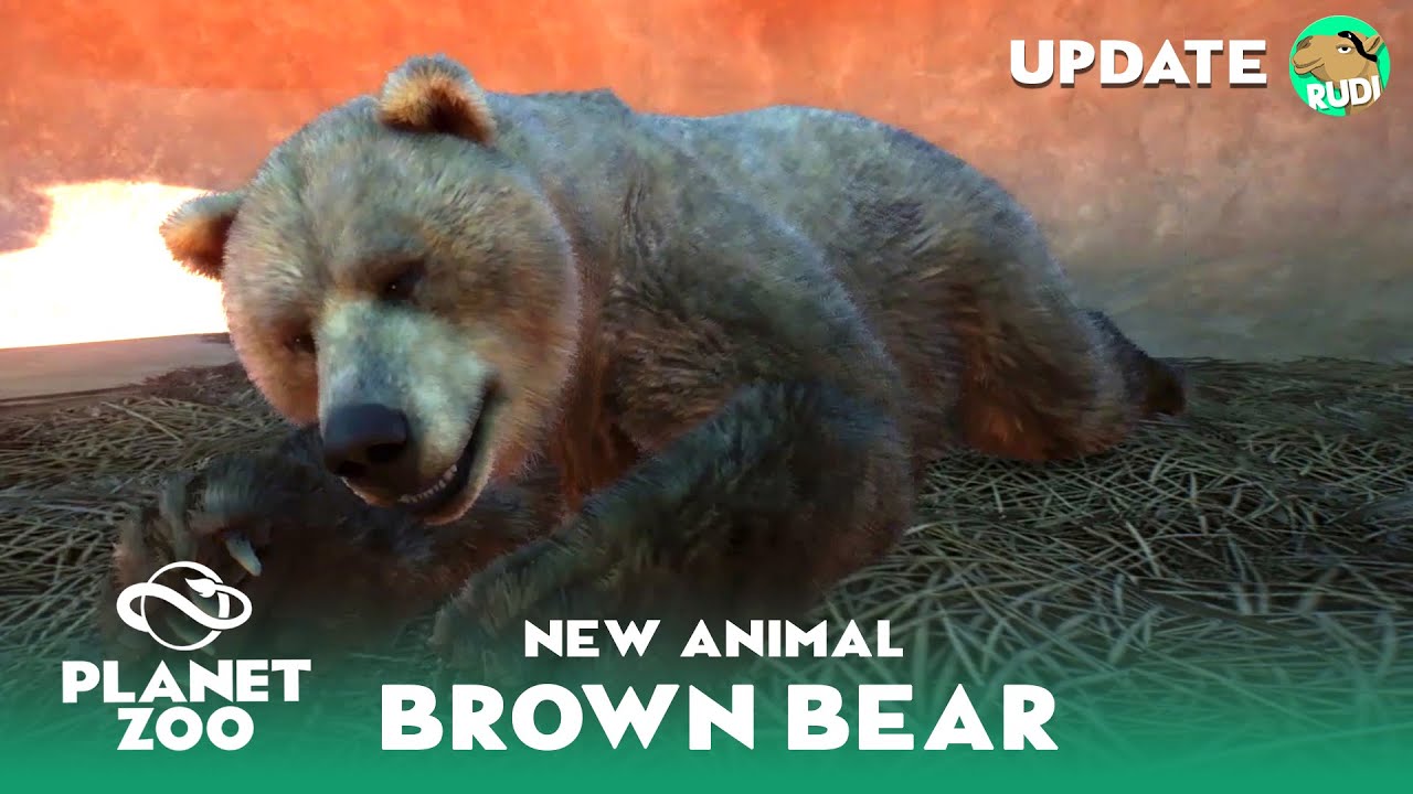 The Himalayan Brown Bear - Planet Zoo new Animal - New Footage