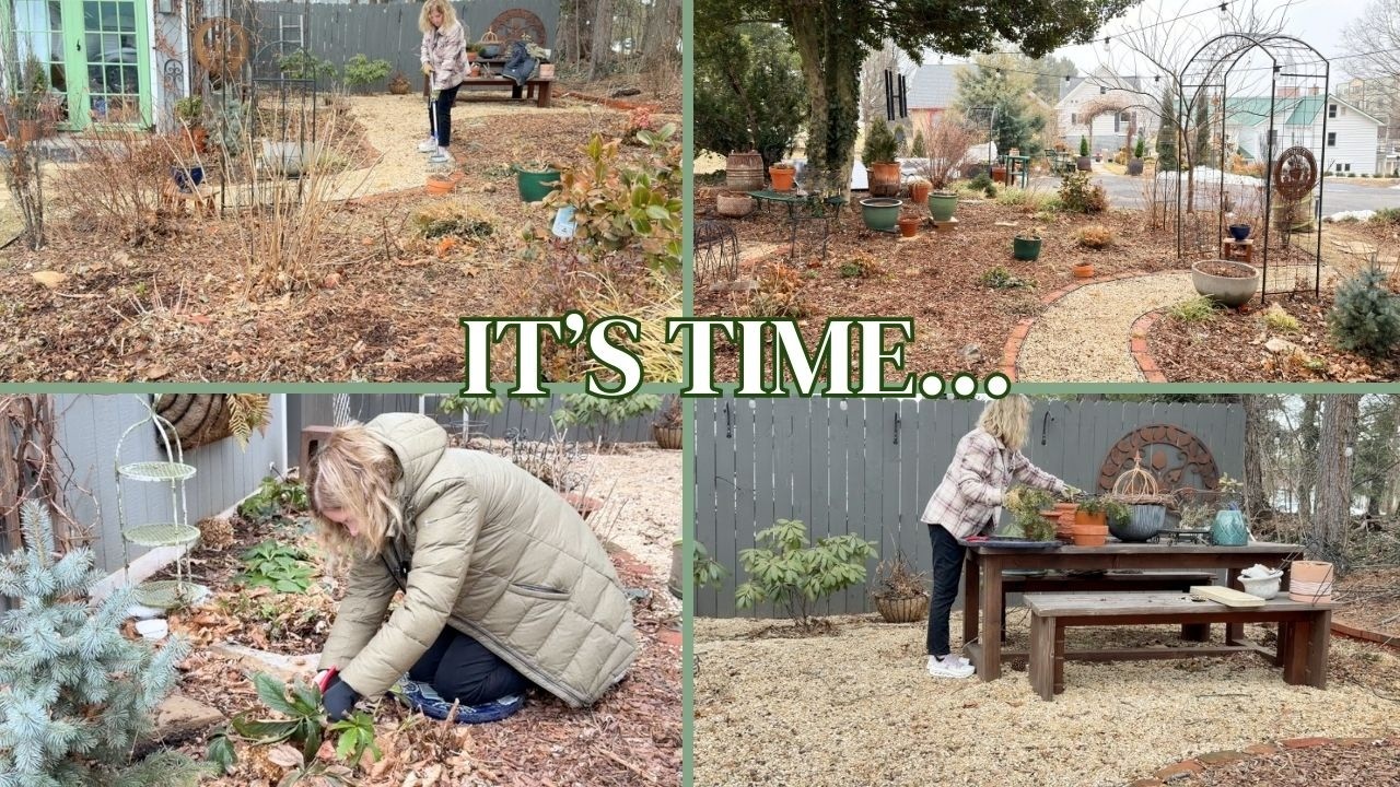 Весенняя уборка теневого сада и подготовка к прекрасному новому сезону | Зона 7