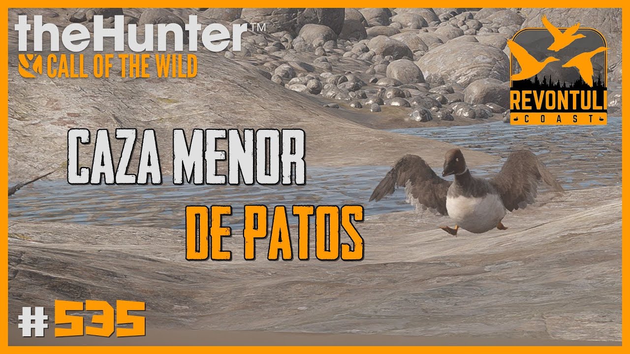 CAZA MENOR DE PATOS - TIRACO A PORRÓN MOÑUDO ECLIPSE CON MILLER CALIBRE 10  | 🦌theHunter: CotW #535