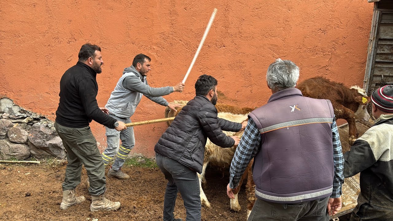 RAMAZANANIN İLK GÜNLERİ KÖYLERDEYİZ