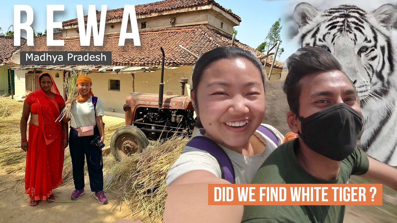 Visiting World's First White Tiger Safari in India & Rural Village in Madhya Pradesh | Mukundpur