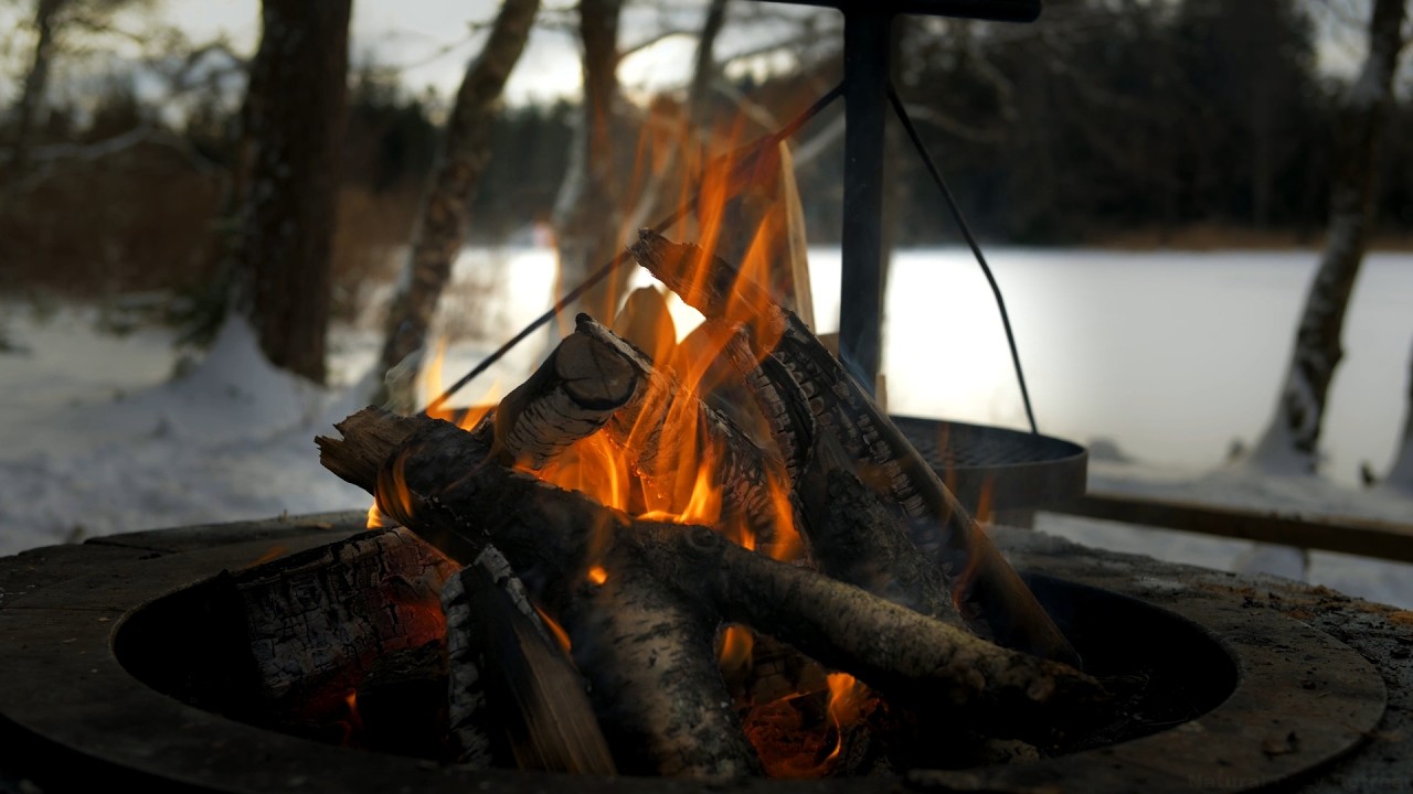 🔥 Cozy Winter Campfire in Swedish Forest | Frozen Lake Ambience