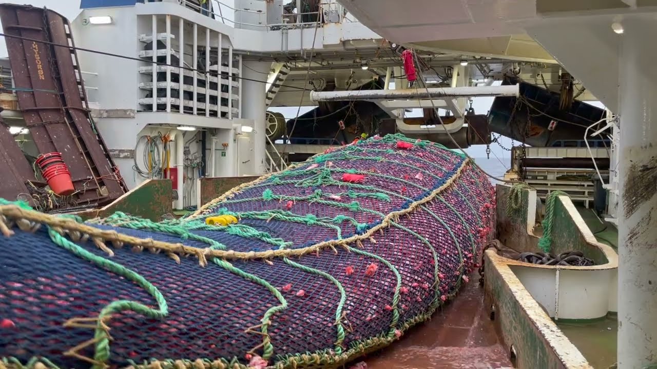 20 Tons of Fish in ONE Catch!
