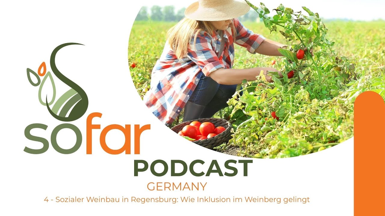 E4 - Sozialer Weinbau in Regensburg: Wie Inklusion im Weinberg gelingt