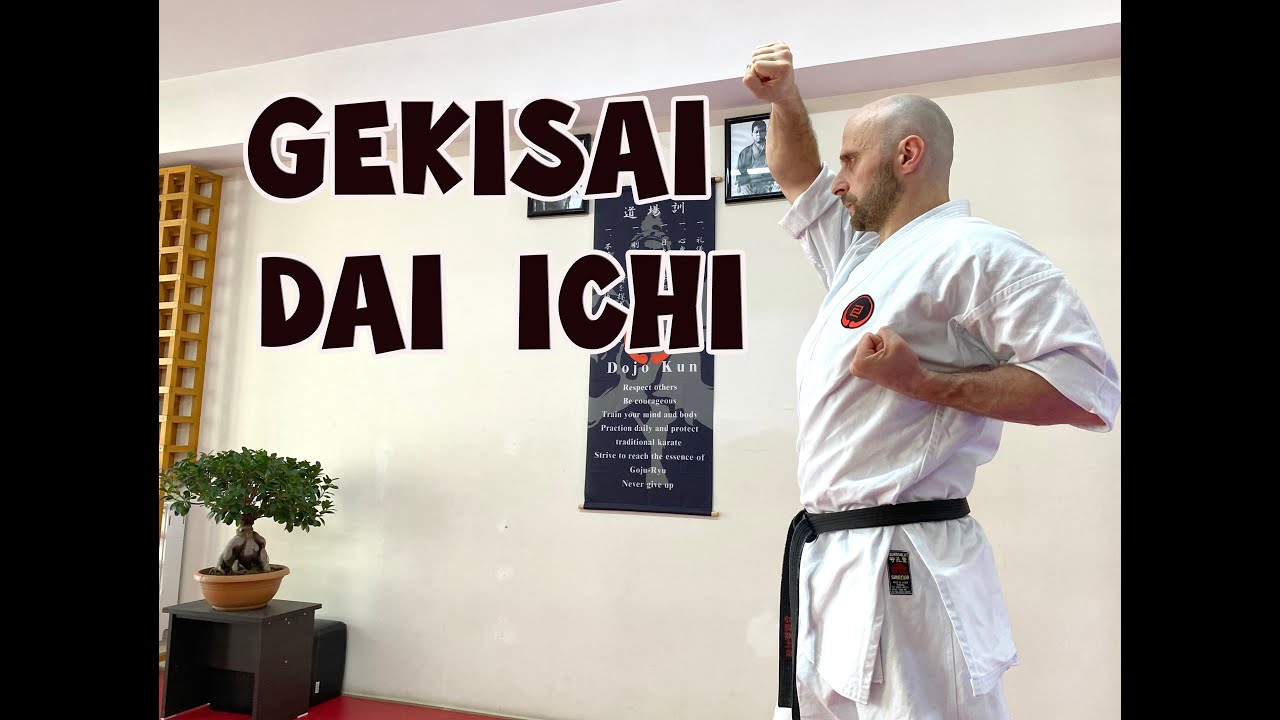 როგორ გავაკეთოთ გეკისაი დაი იჩი / How to do Gekisai Dai Ichi