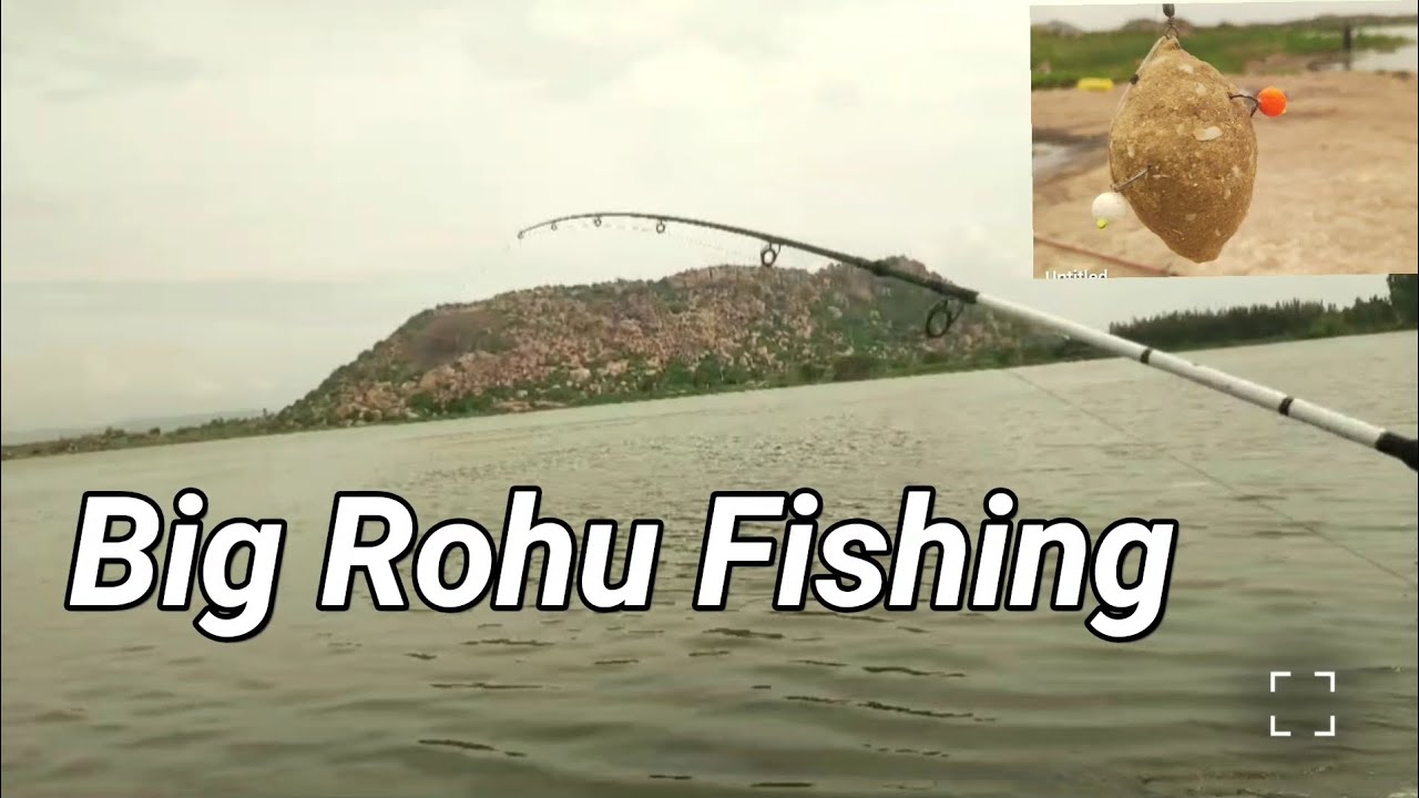 Big Rohu Fishing video||Feeder hook fish.