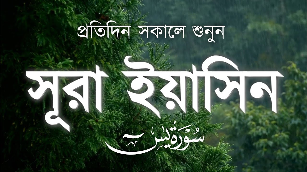 Surah Yaseen সুরা ইয়াসিন | Heart Touching Quran Tilawat | سُوْرَةُ يسٓ | Peaceful Quran Recitation