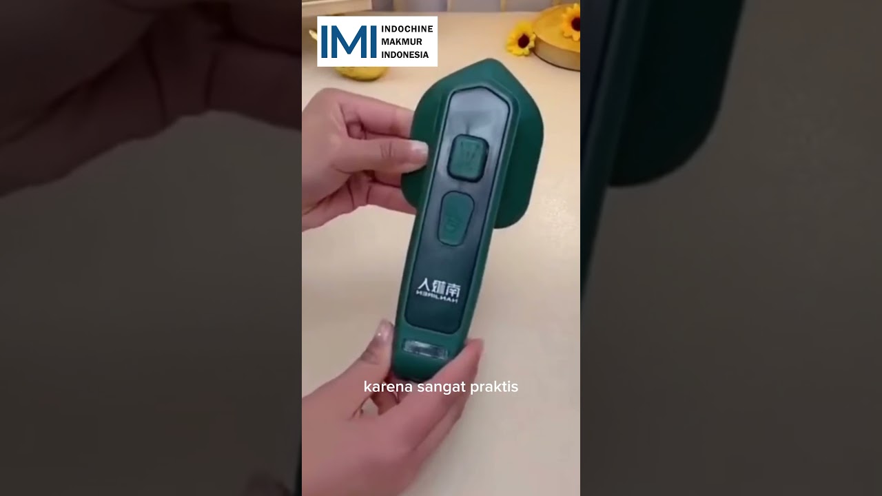 Setrika Uap Mini