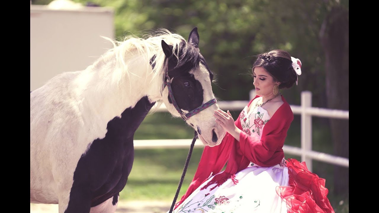 Elizabeth's Short Film