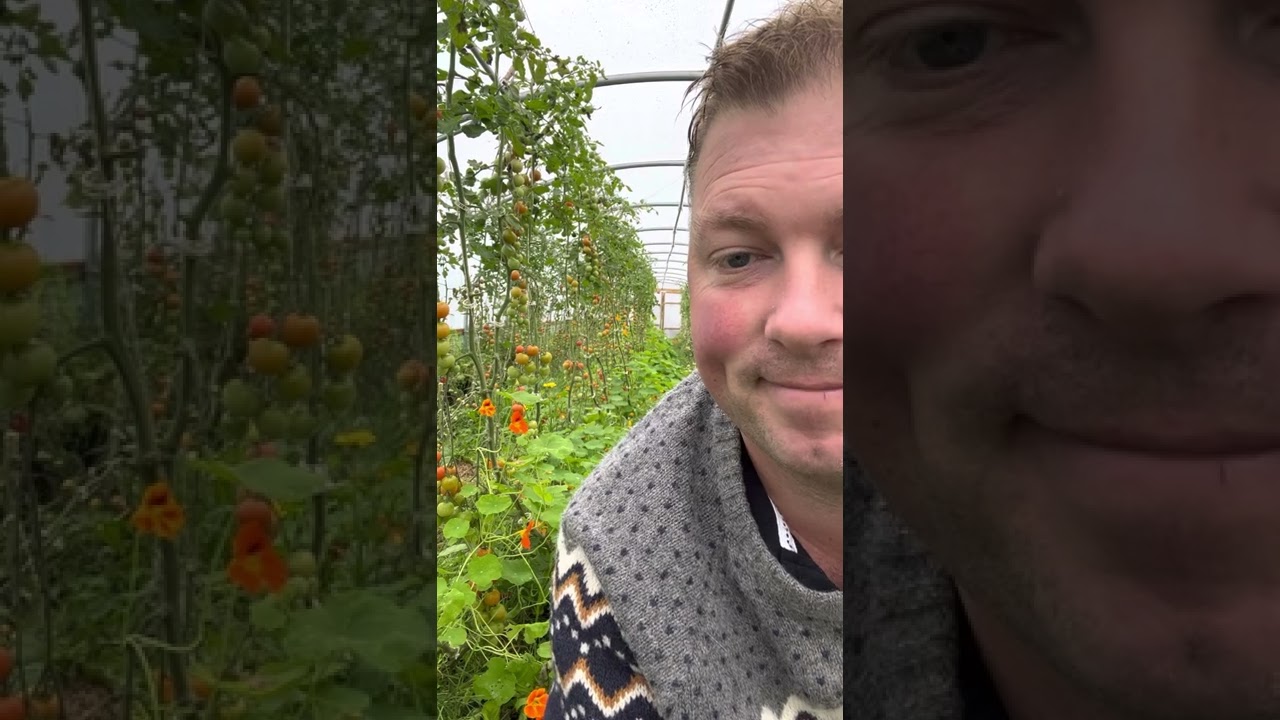 Info på video denne gangen. Håper vi sees.