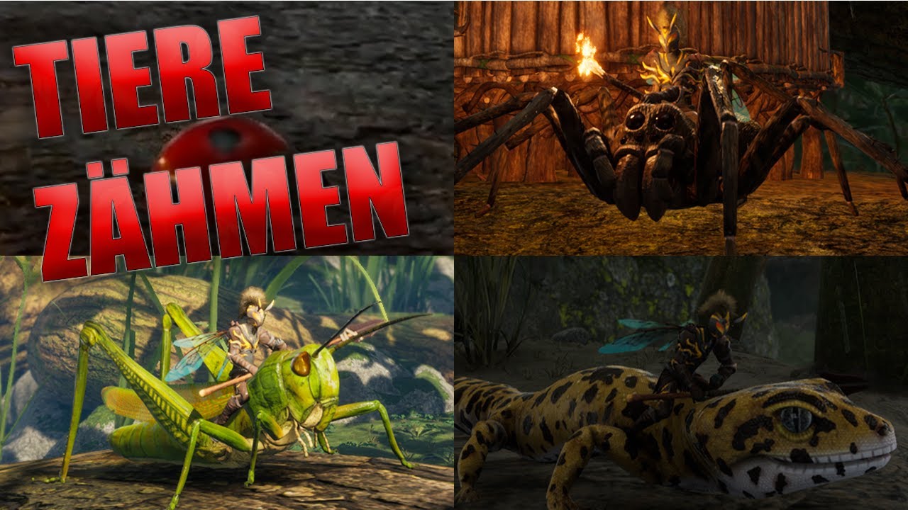 Zähmen einfach erklärt | Smalland alle Tiere zähmen deutsch