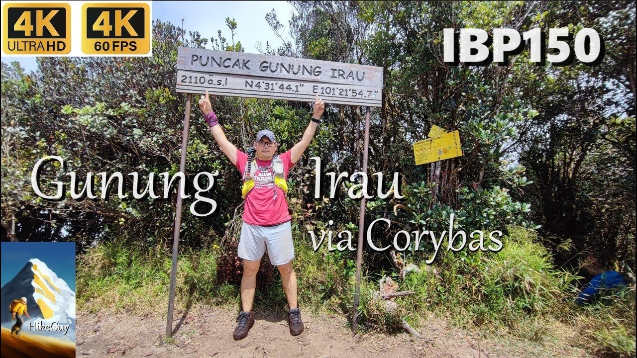 Ep108 Hike to Gunung Irau via Corybas trail ⭐ Cameron⭐ Pahang Malaysia