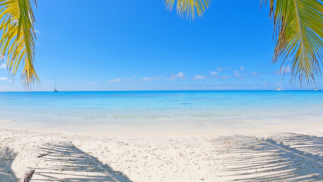 Beach Screensaver From a Tropical Remote Island Paradise