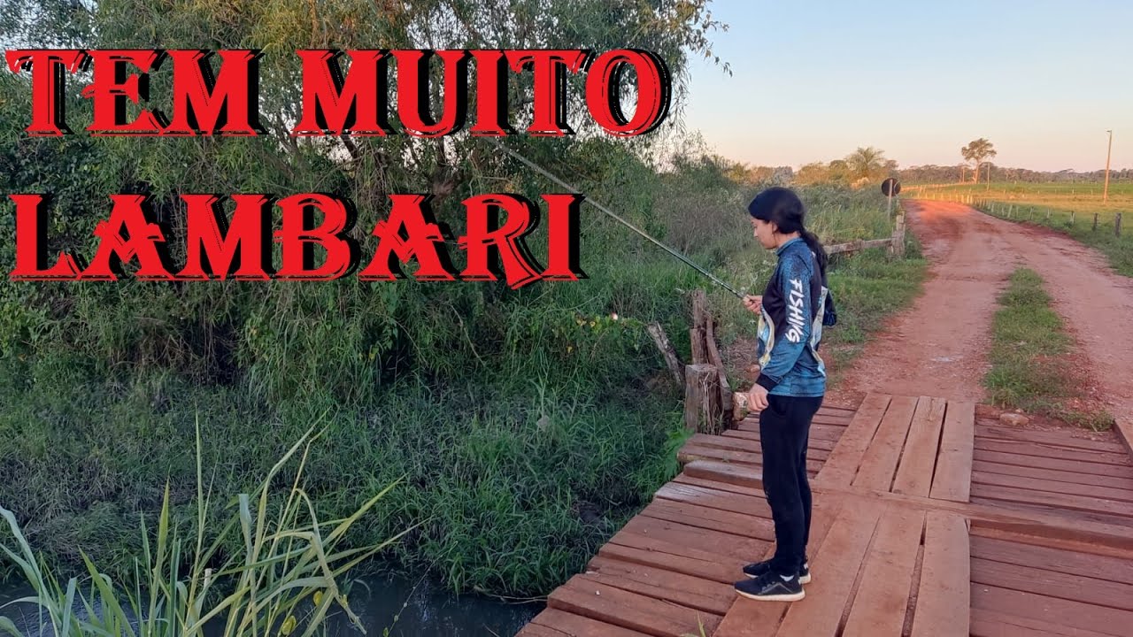 PESCARIA DE LAMBARI NUM CÓRREGO NA BEIRA DA ESTRADA