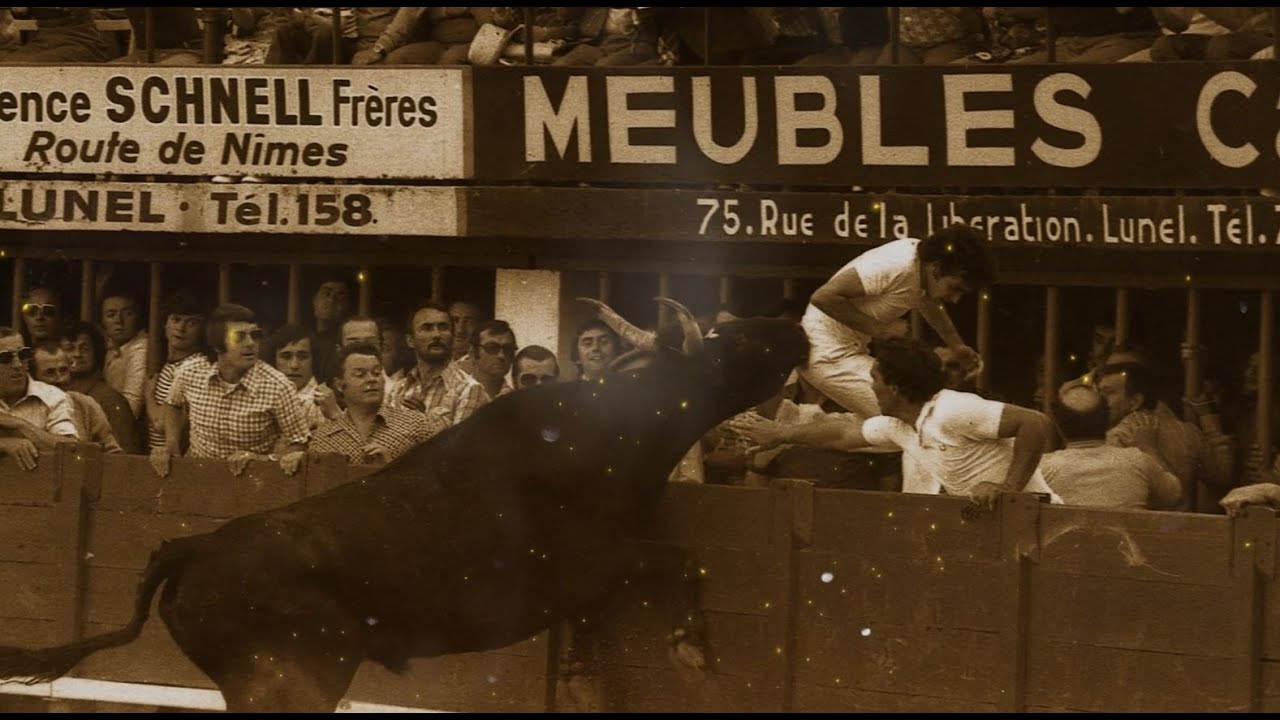 Hommage à la course camarguaise dans les arènes de Lunel
