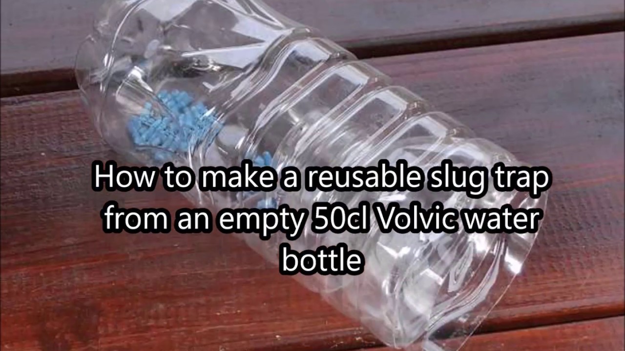 Volvic Bottle Slug Traps