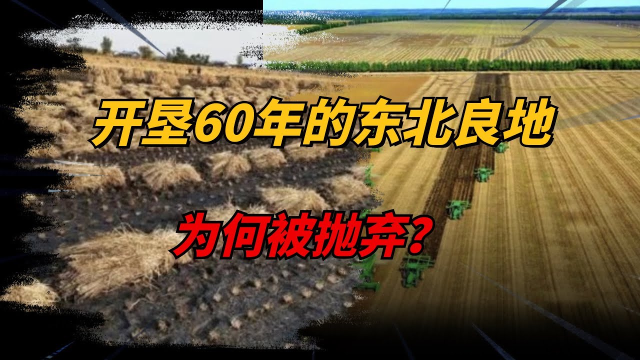 中国最大粮仓一夜间变荒地，开垦60年东北良田为何被抛弃