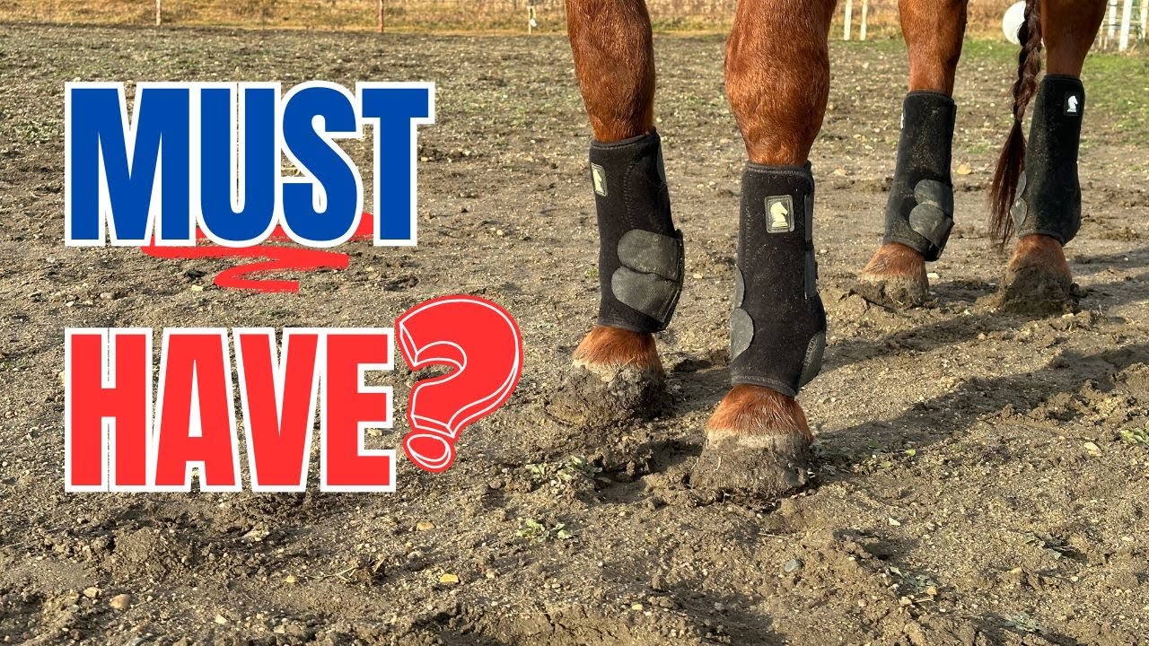 Protective Boots For Your Horse
