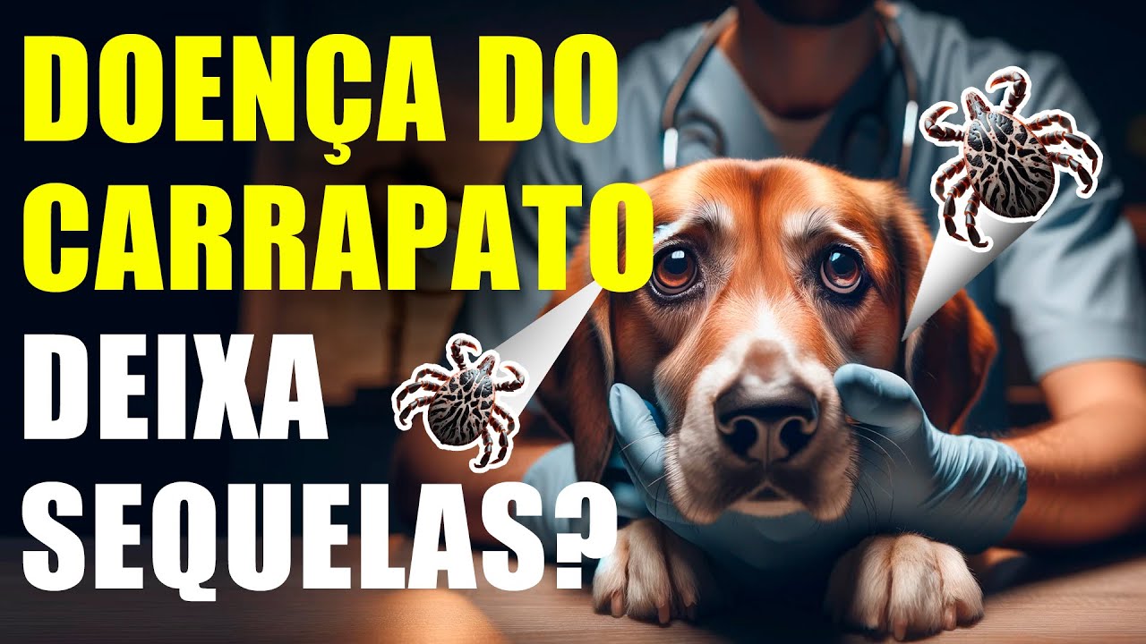 Doença do Carrapato deixa SEQUELAS?