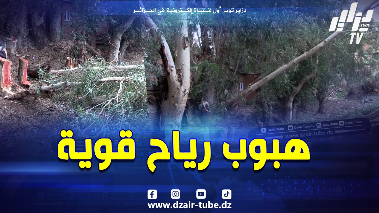 شاهد .. حالة استنفار بحجوط 🌪️ تحرك جماعي تحسبا لهبوب رياح قوية