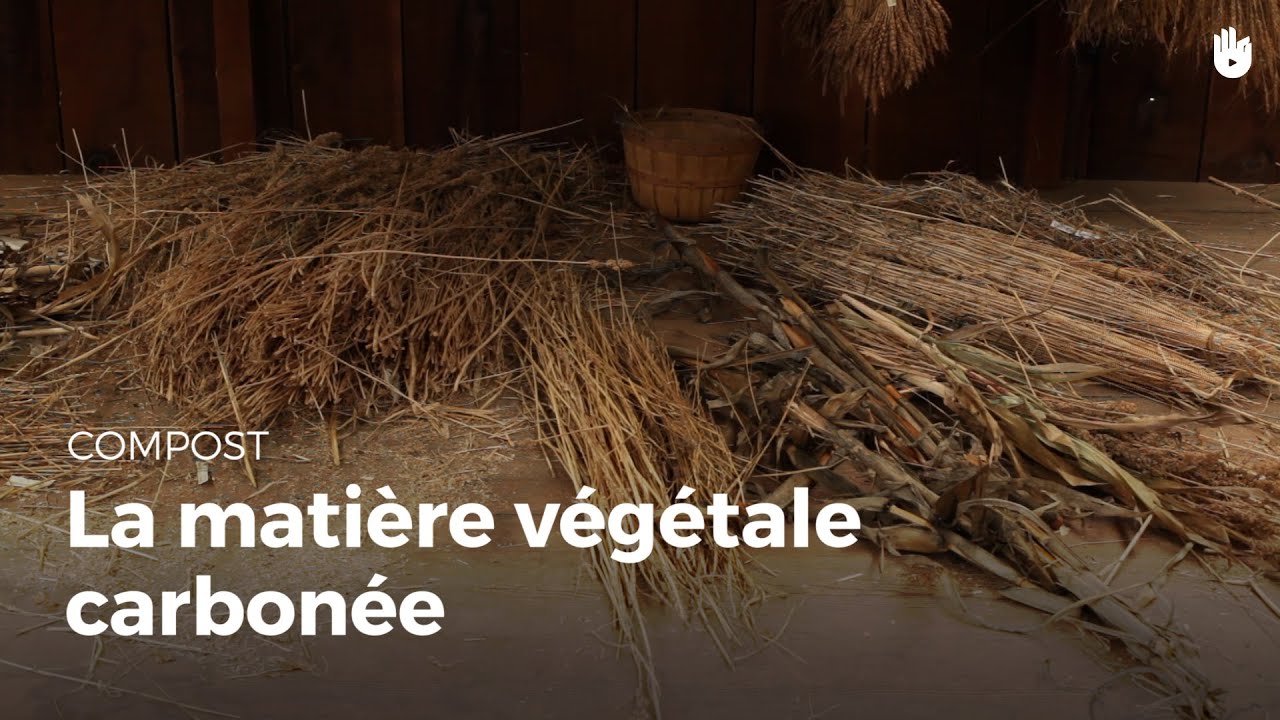 La matière végétale carbonée
