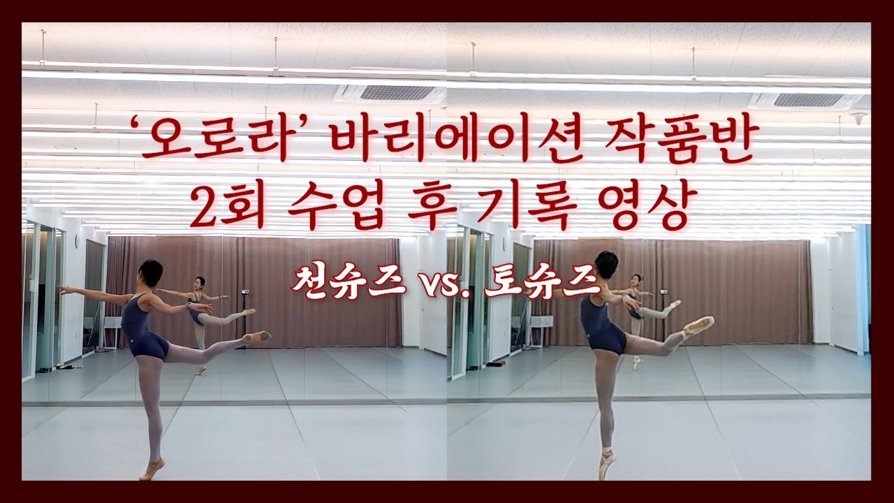취미발레 작품반 - 오로라