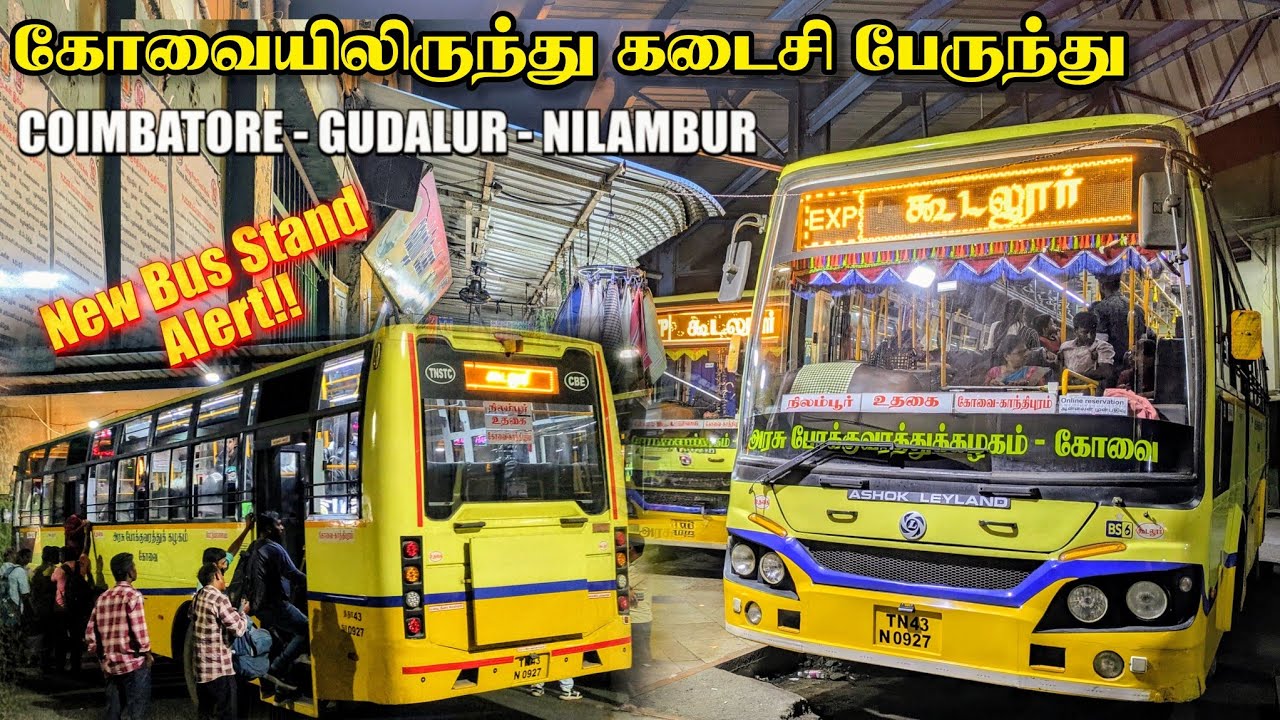 அதிபங்கர கூடலூர் பயணம் 😶‍🌫️ கோவையில் இருந்து கடைசி பேருந்து|DAIRY MOVIE OOTY BUS!! KOVAI - GUDALUR 