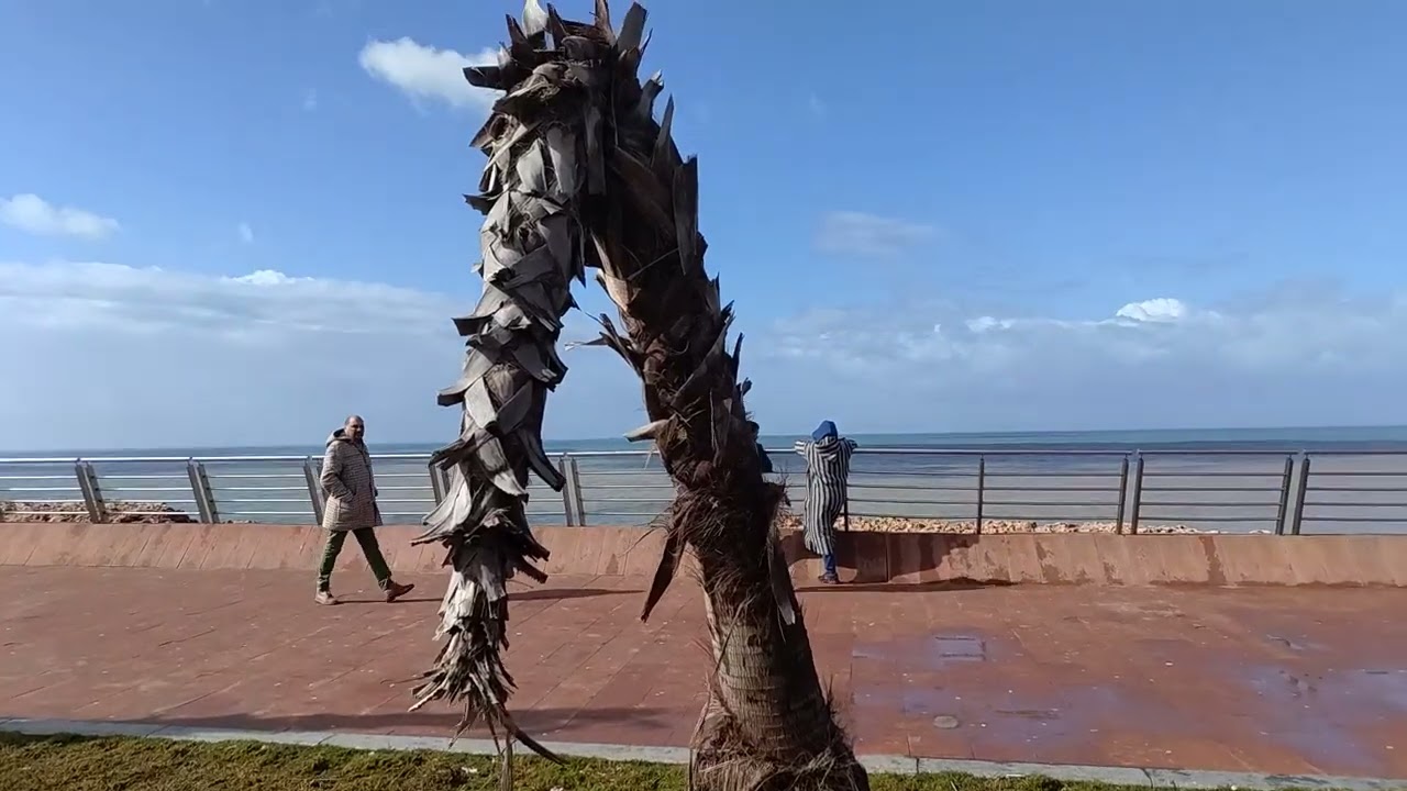 عامل آسفي يشجع الفساد و الفاسدين أين الأمانة و القسم أمام الله و صاحب الجلالة ياعمدة أين الميزانية؟؟