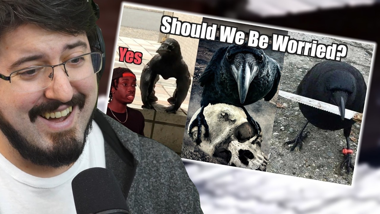 The Crows are Learning... [Casual Geographic]