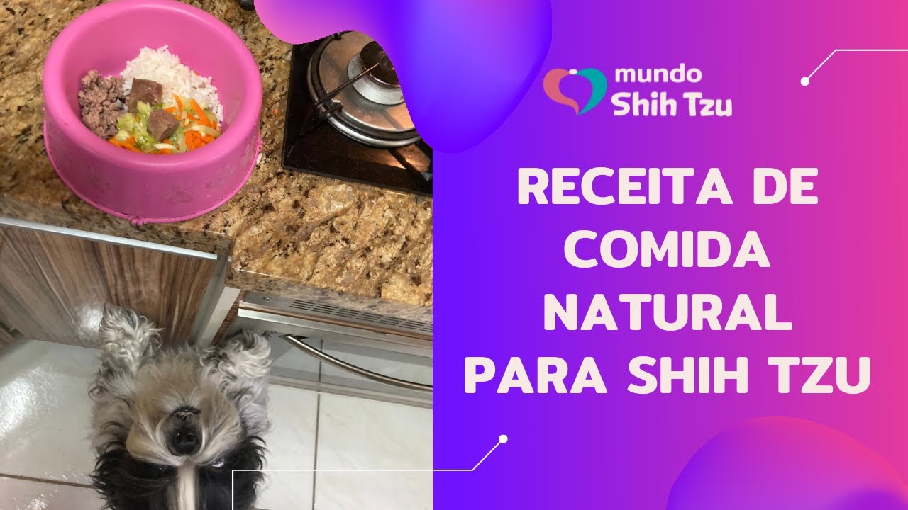 Receita de comida natural para Shih Tzu | Super saudável