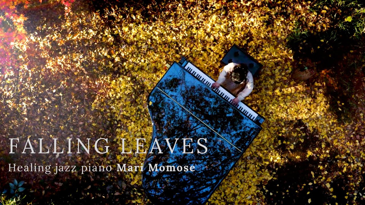 【Music Video】Falling leaves / 桃瀬茉莉 - Mari Momose Healing jazz piano【ヒーリング ジャズピアノ 】紅葉