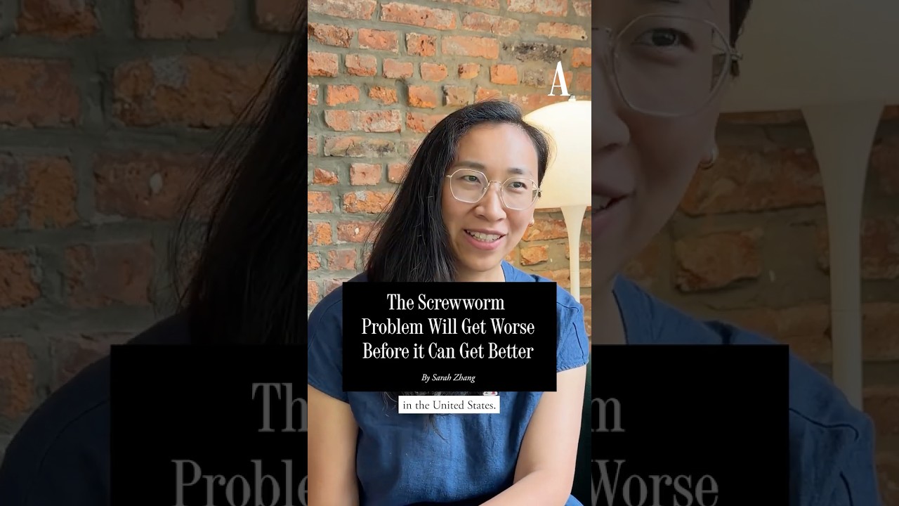 The Screwworm Problem Will Get Worse Before it Can Get Better