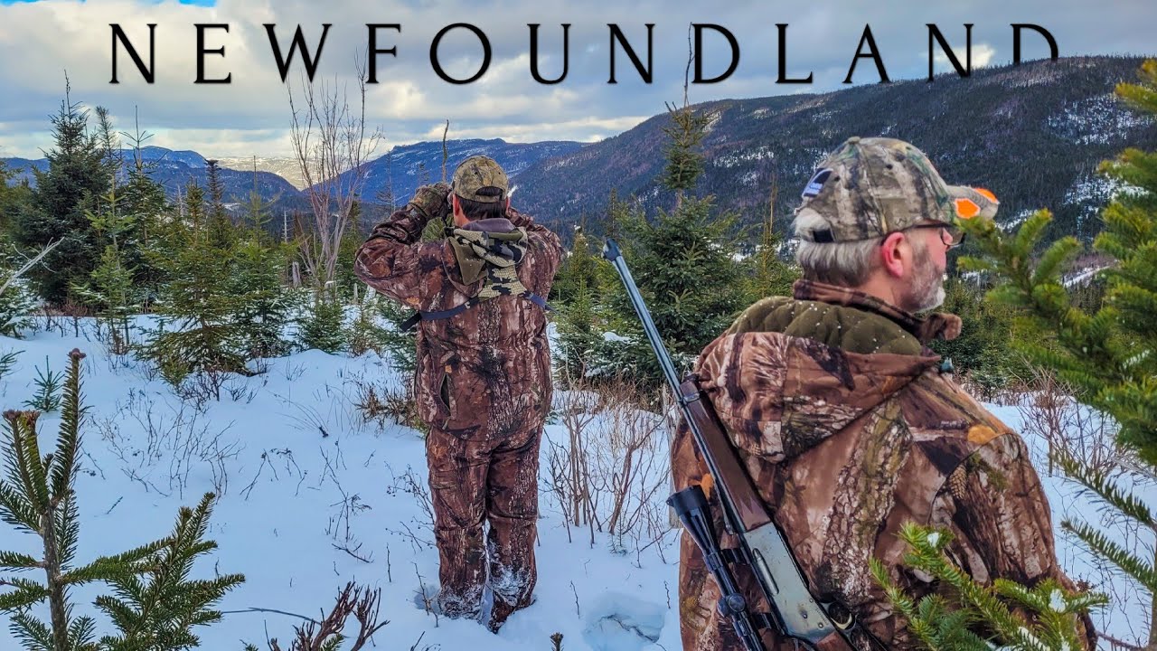 Newfoundland MOOSE HUNT In Rugged Backcountry! (TROPHY BIG GAME) [PT 2]
