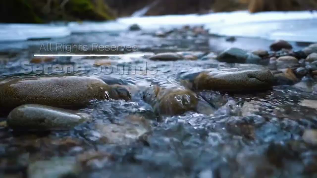 ASMR Солнечная лесная река | Безмятежная проточная вода | 8 часов релаксации (4K)
