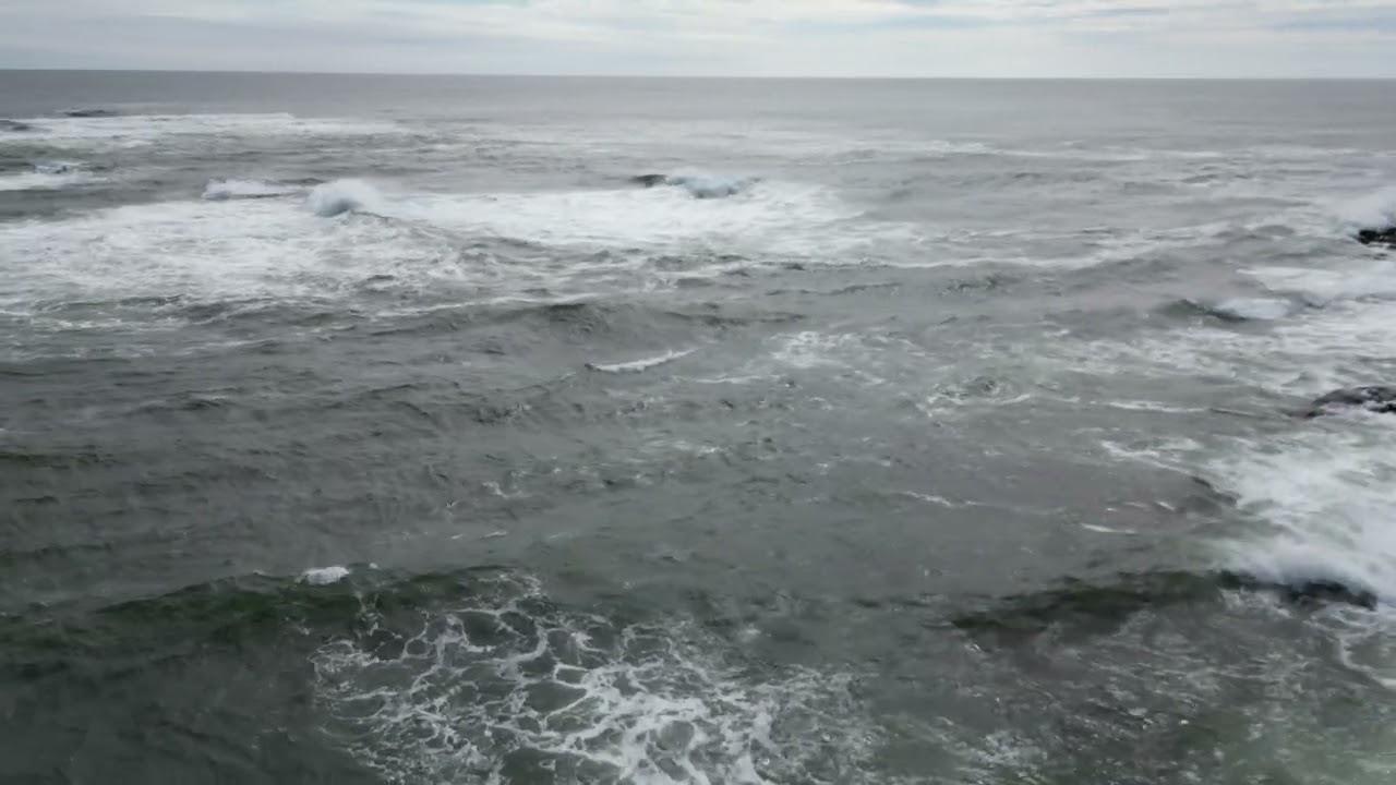 Beach Island, Biddeford Pool ME, Sept 22, 2024 2 of 2