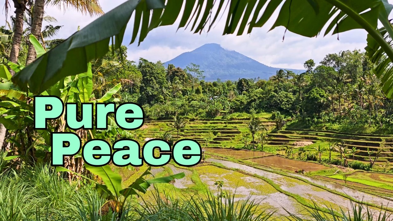 Bali 4K - Jatiluwih UNESCO Rice Terraces | 16 Minutes Real Nature Sounds