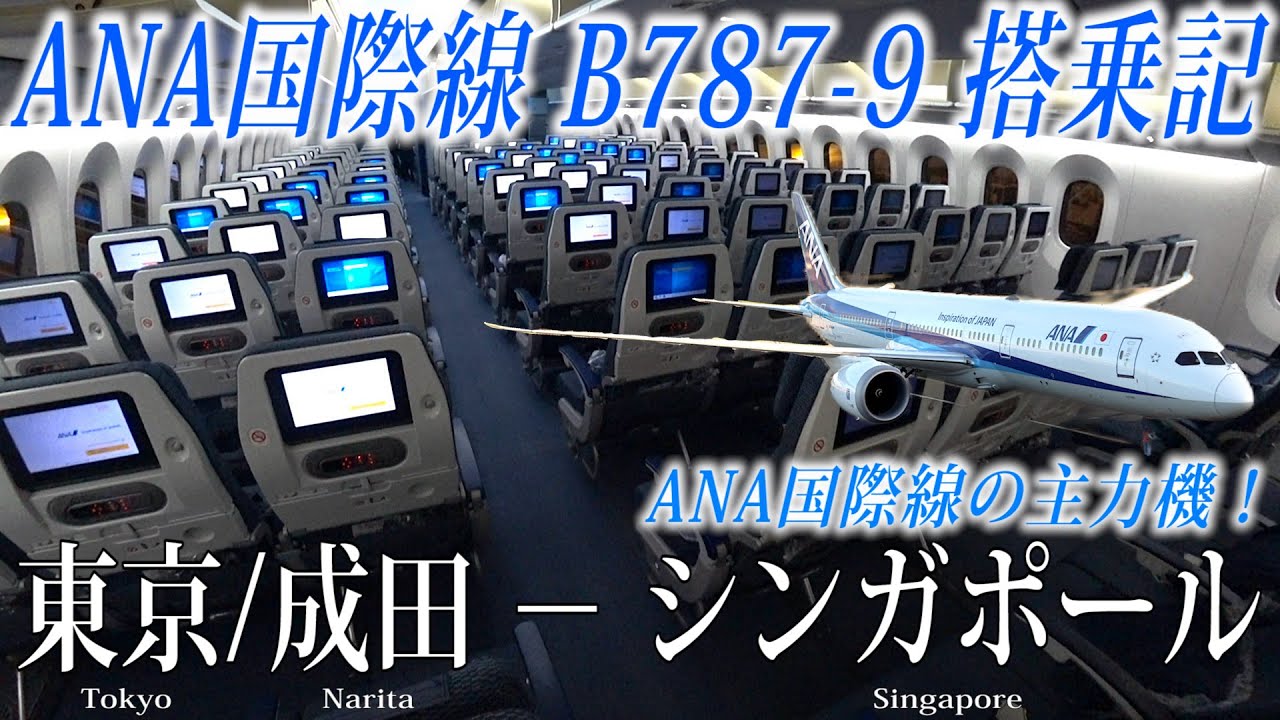 【ANA国際線の主力機！】ANA B787-9 (国際線仕様・246席) エコノミークラス搭乗記 東京/成田−シンガポール