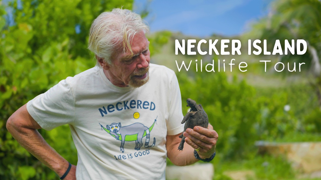 Wildlife Tour of Necker Island
