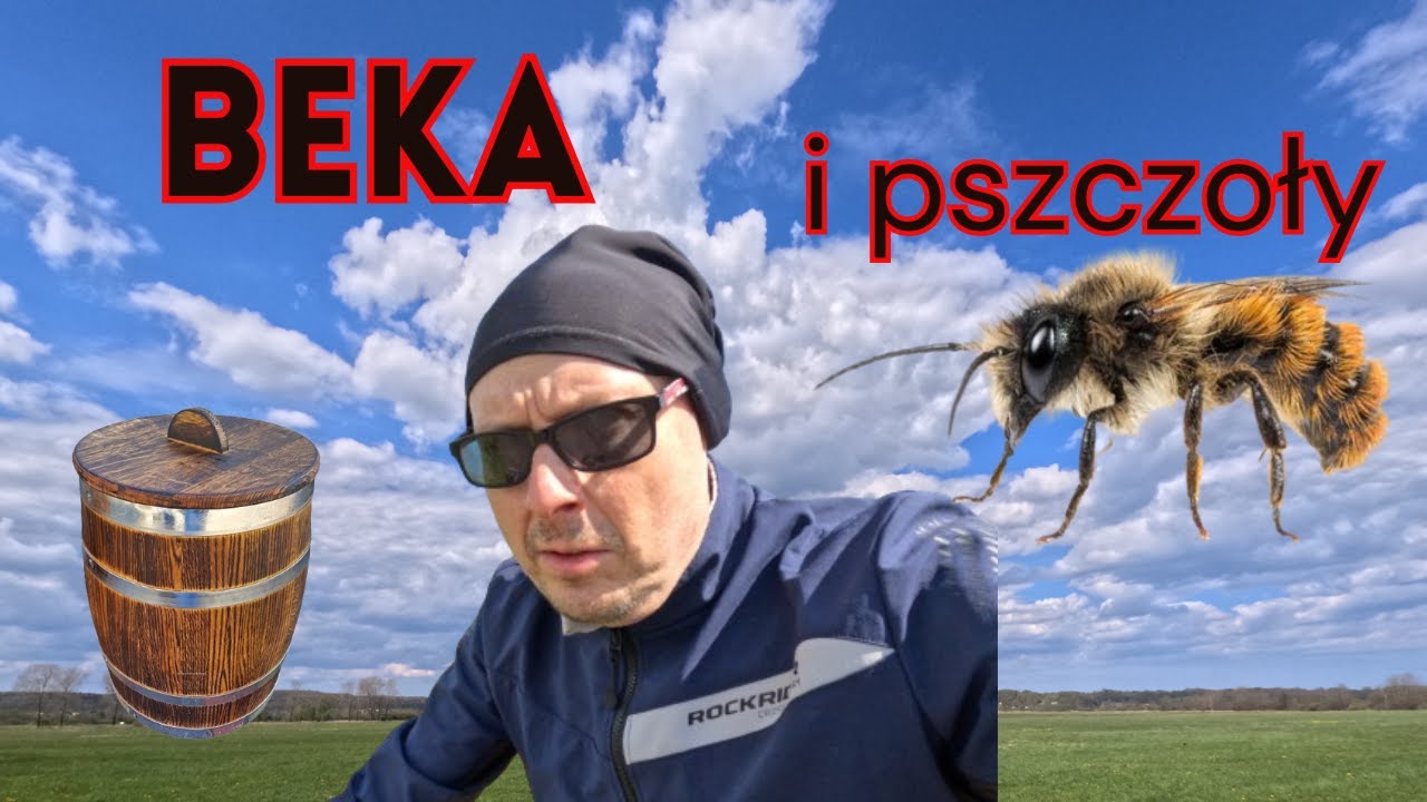 Rezerwat Beka i pszczoły - przyjemne z pożytecznym