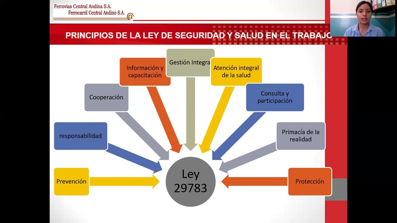 1er Curso SST 2025  Gesti&oacute;n SST Ley 29783