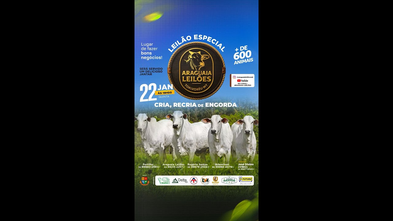 Araguaia leilões Torixoréu - MT  22/01/2026