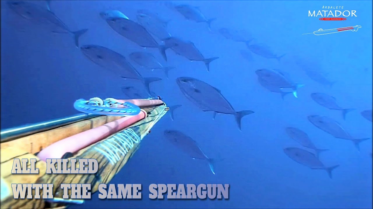 pesca sub | ❌ PRESE TUTTE, CON UN SOLO FUCILE spearfishing arbalete Matador