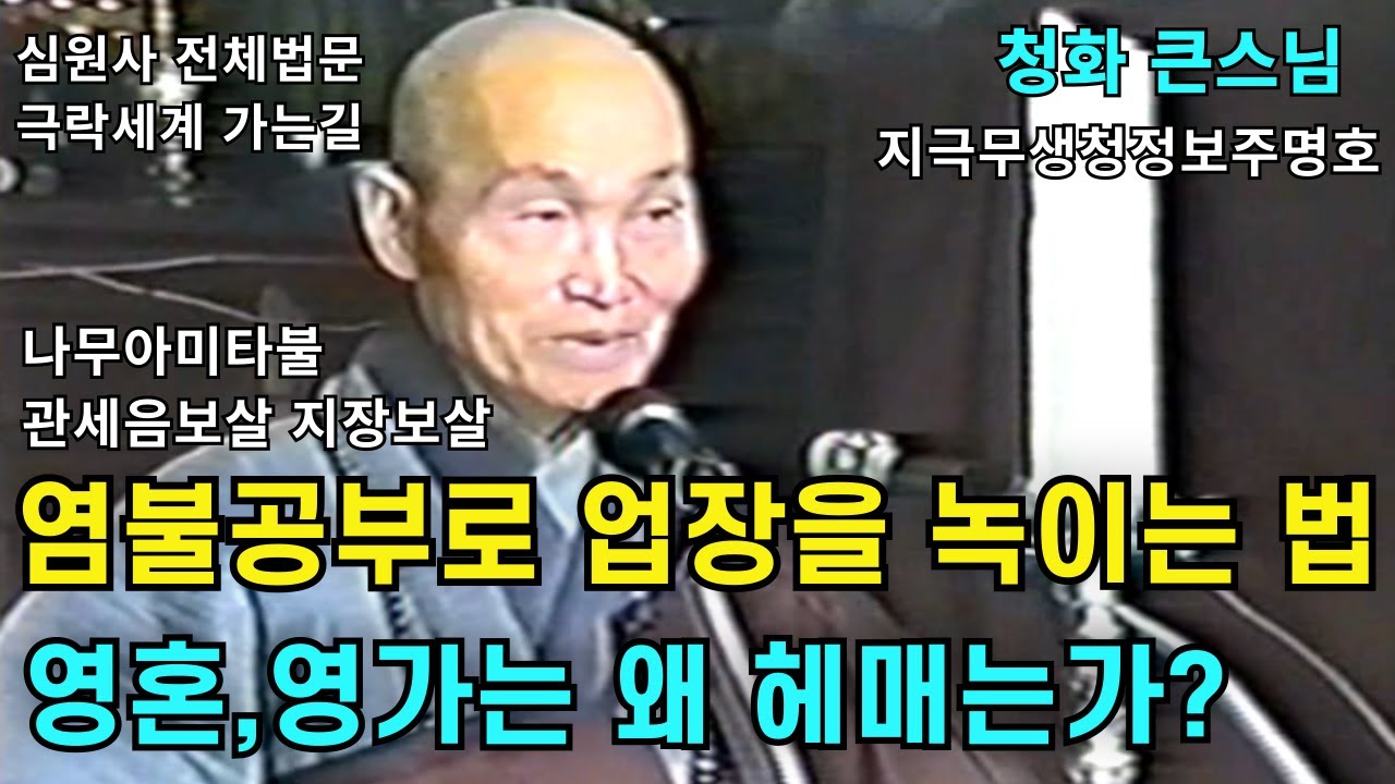 나무아미타불 관세음보살 지장보살 염불을 생각생각에 마음을 집중해서 천번 만번 합니다 | 영혼들이 헤매는 이유|청화스님 법문 19911222 심원사 천도재