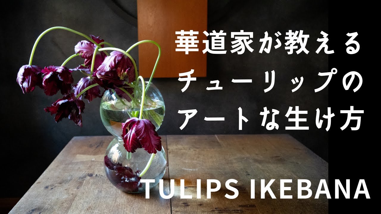 生け花の世界・華道家が教えるアートなチューリップのいけ方・お家でおしゃれに花を飾ろう！【華道家・大谷美香】