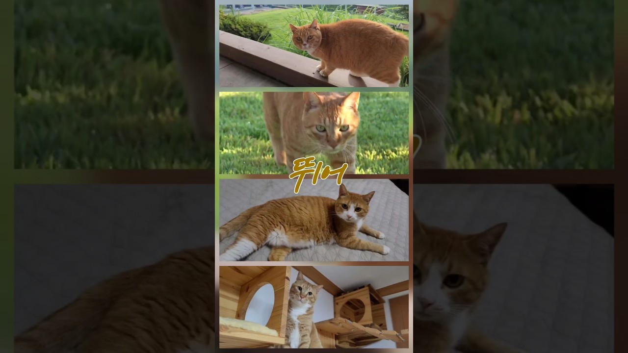 Прыжок - Йеллоухайт @Metalnam