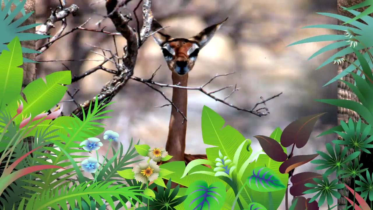 Commercial Video for Critter Hut
