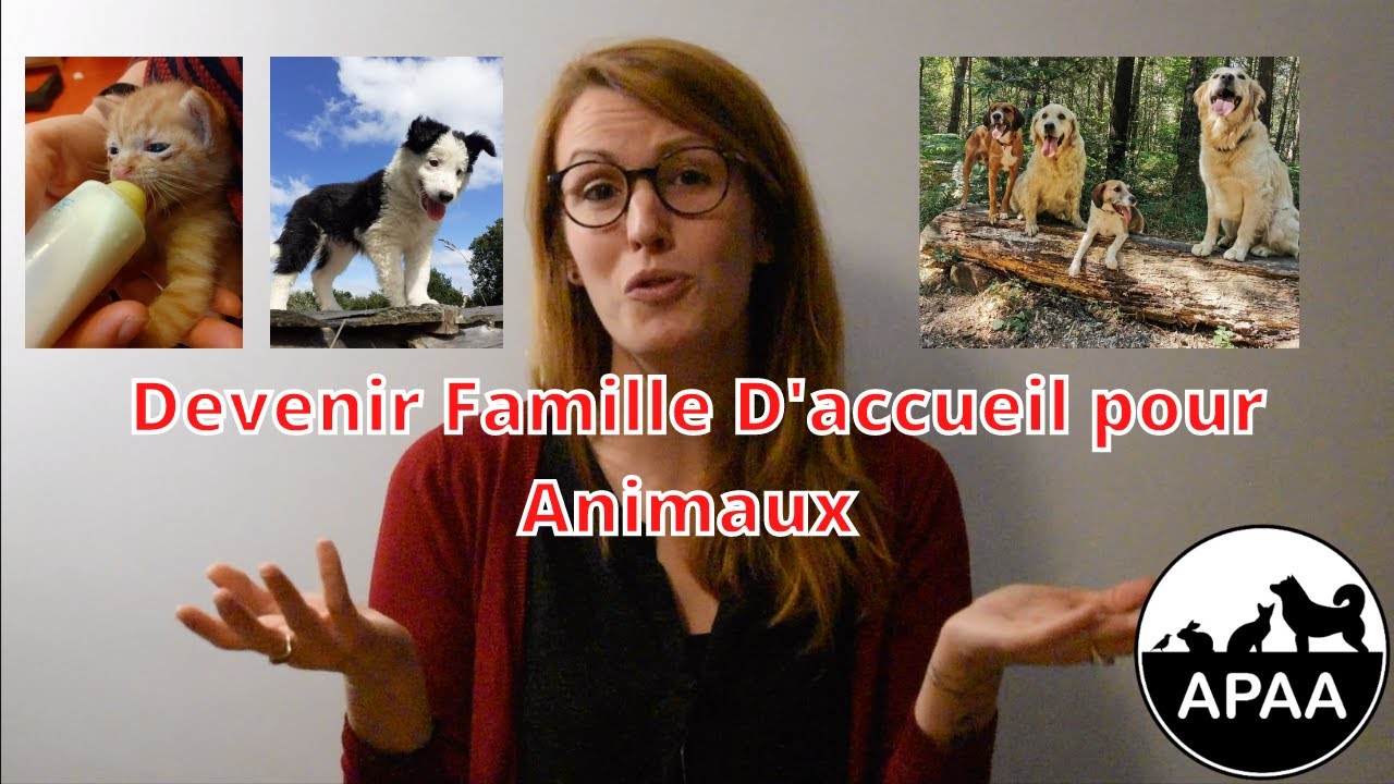 Comment devenir famille d'accueil pour L'APAA ( DEP. 22 )